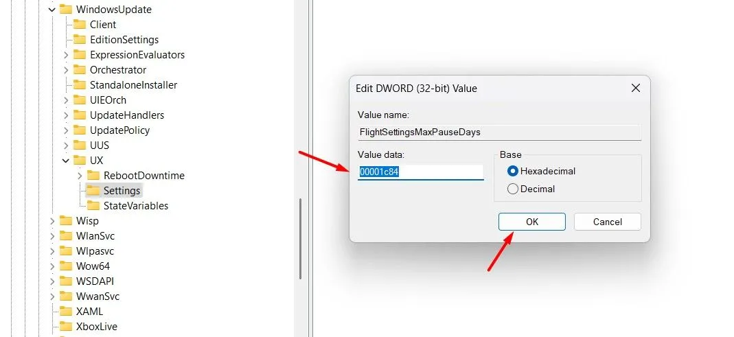 Trường Dữ liệu giá trị (Value Data) trong Registry Editor khi chỉnh sửa FlightSettingsMaxPauseDays