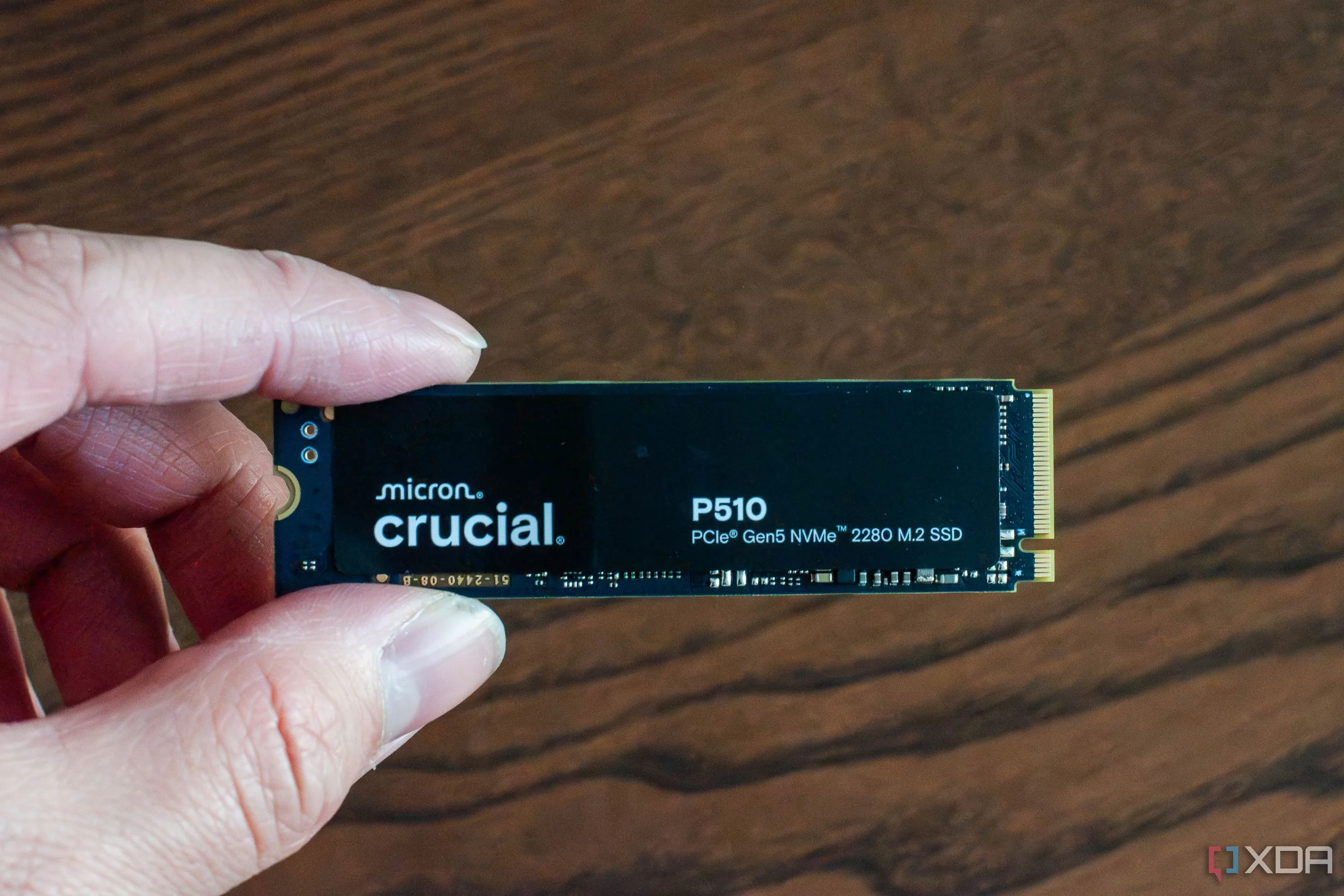 Bàn tay đang cầm ổ cứng SSD NVMe M.2 Crucial P510 PCIe Gen 5