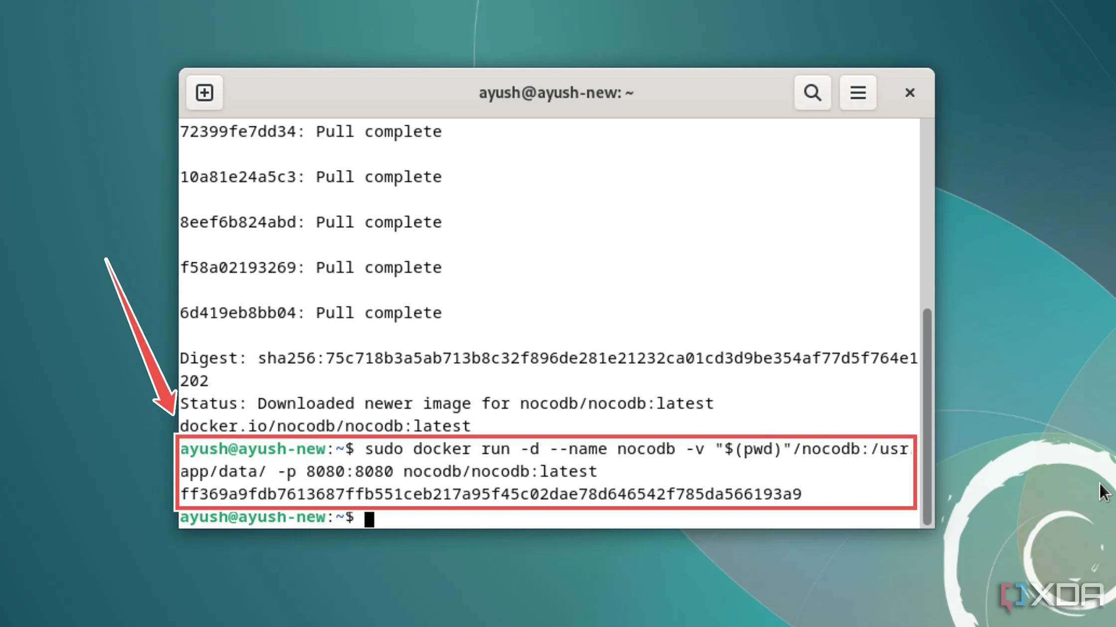 Chạy container NocoDB bằng lệnh Docker trên Linux