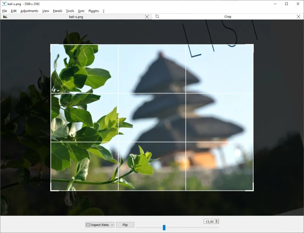 Công cụ cắt ảnh mạnh mẽ trong Nomacs - Image Lounge