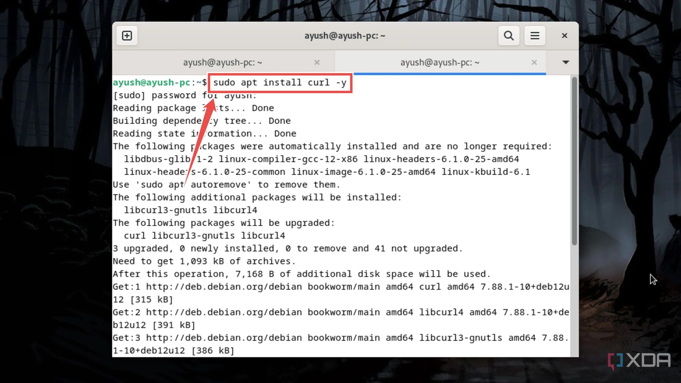 Cài đặt Curl trên máy chủ Linux để thiết lập Tailscale