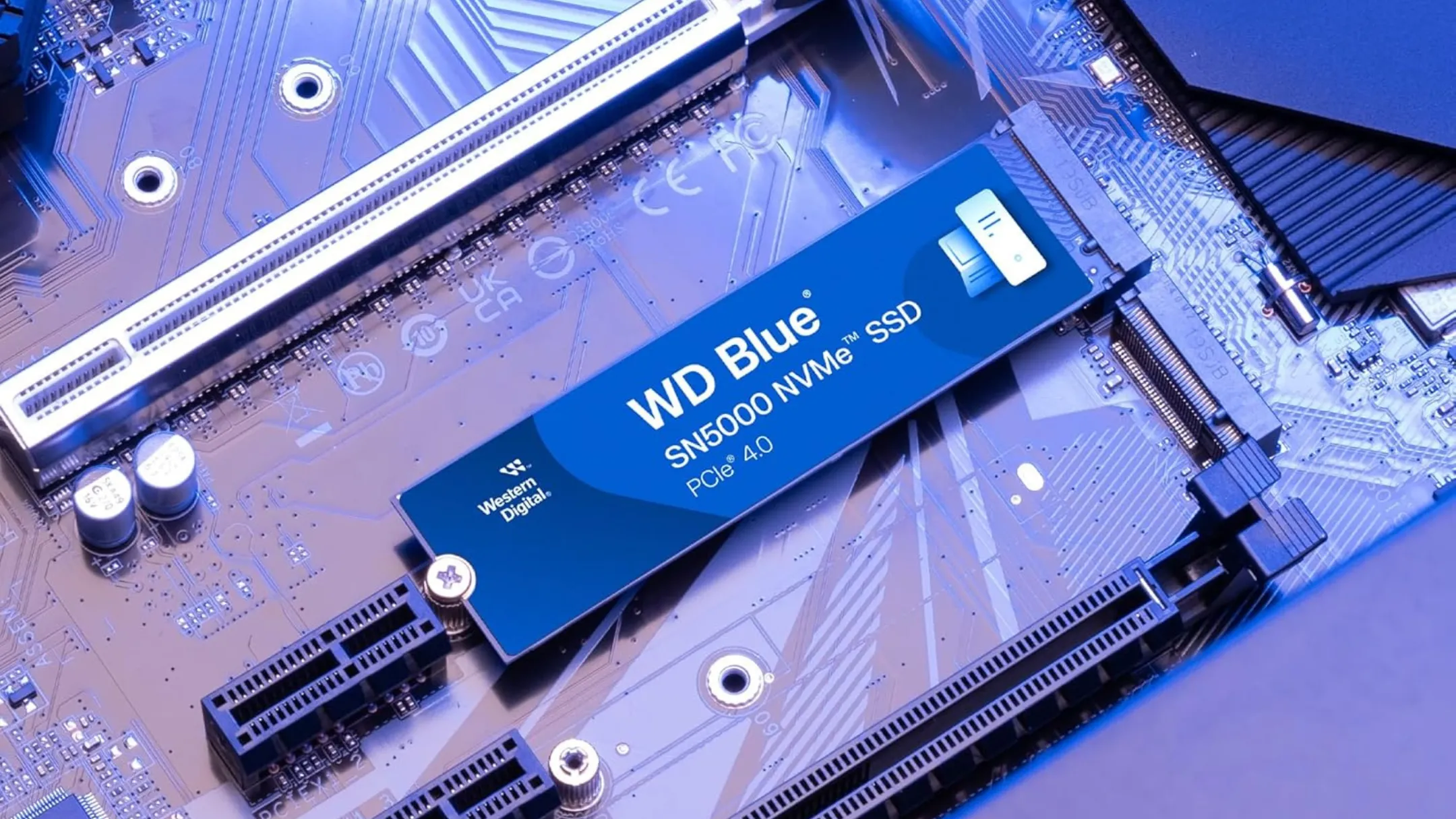 Cận cảnh ổ cứng SSD Western Digital Blue SN5000 4TB M.2 NVMe Gen 4