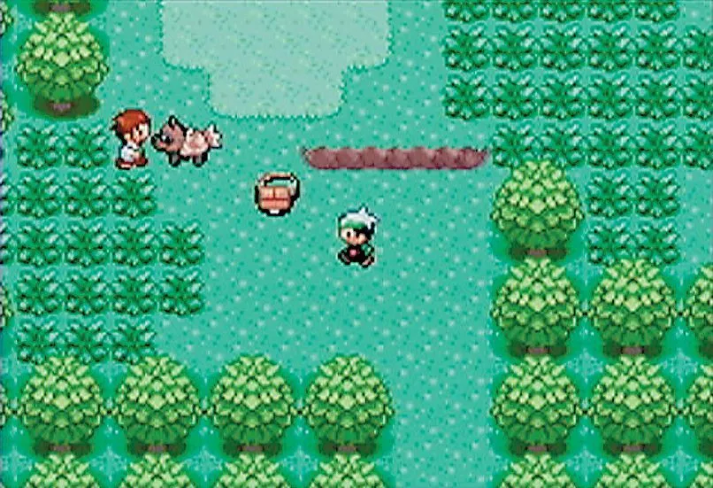 Cảnh chiến đấu Pokémon trong ROM hack R.O.W.E