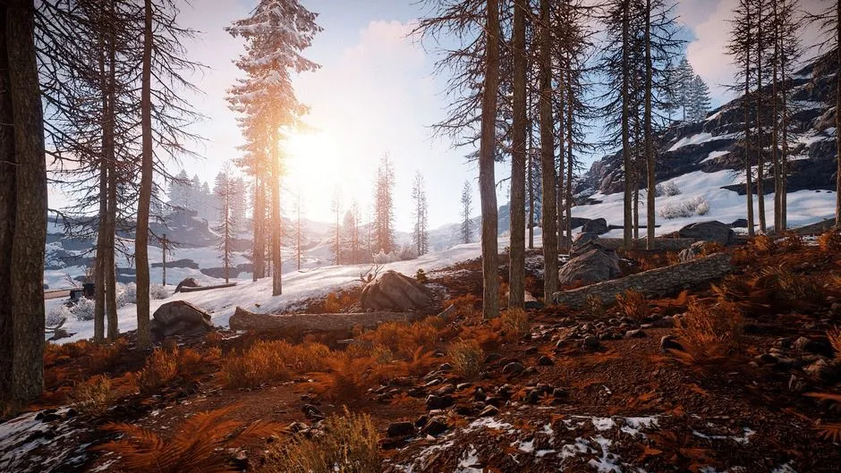 Cảnh quan hoang sơ với cây cối trong game sinh tồn Rust, một đại diện nổi bật của game indie
