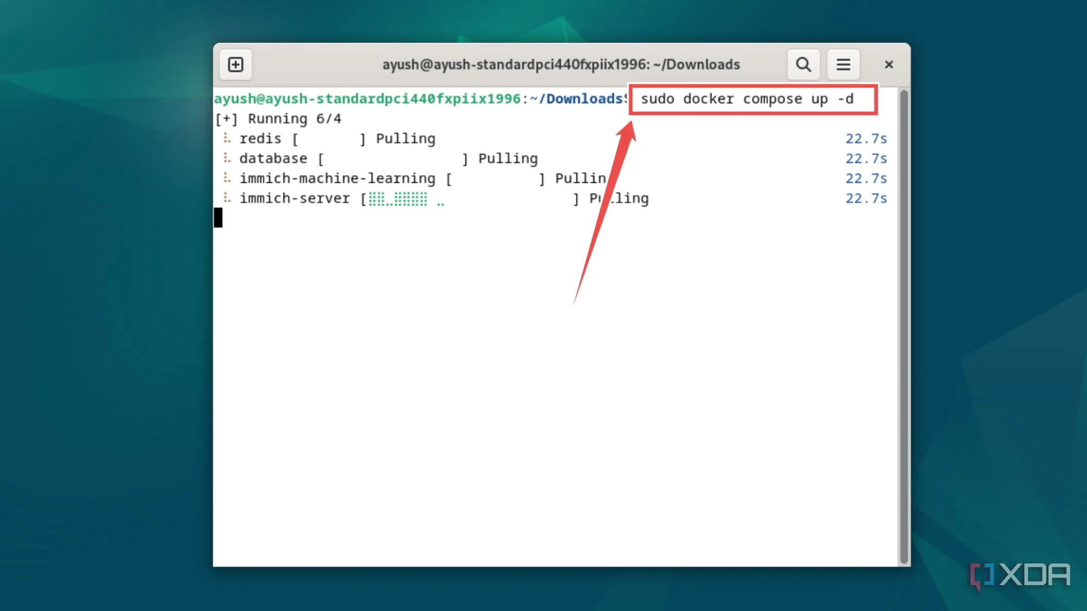 Chạy lệnh docker compose up -d để triển khai Immich container