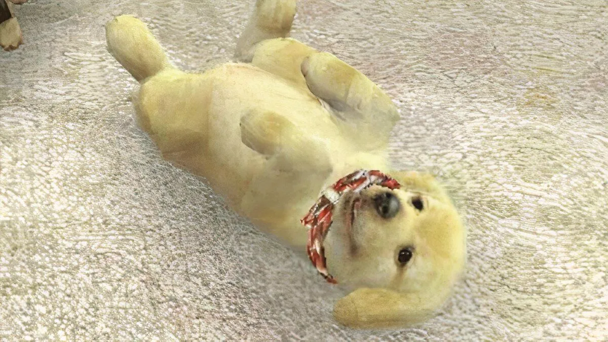 Chú chó Golden Retriever con đáng yêu trong game Nintendogs, biểu tượng của series mô phỏng thú cưng được kỳ vọng trở lại trên Nintendo Switch 2.