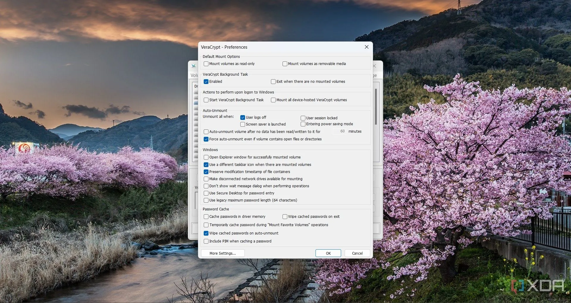 Cửa sổ tùy chọn (Preferences) của VeraCrypt, thể hiện các thiết lập nâng cao có thể đòi hỏi người dùng làm quen ban đầu