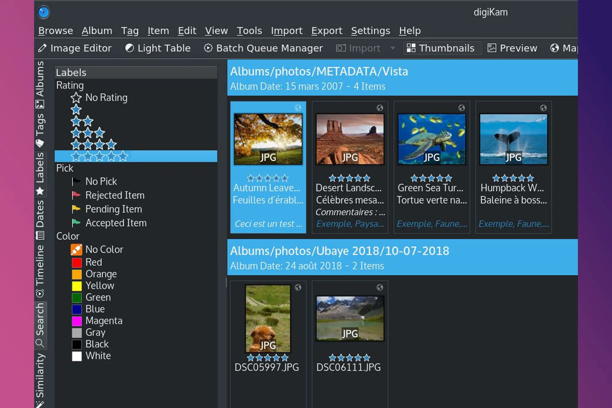 Giao diện Digikam với các công cụ phân loại và gắn thẻ hình ảnh chuyên nghiệp