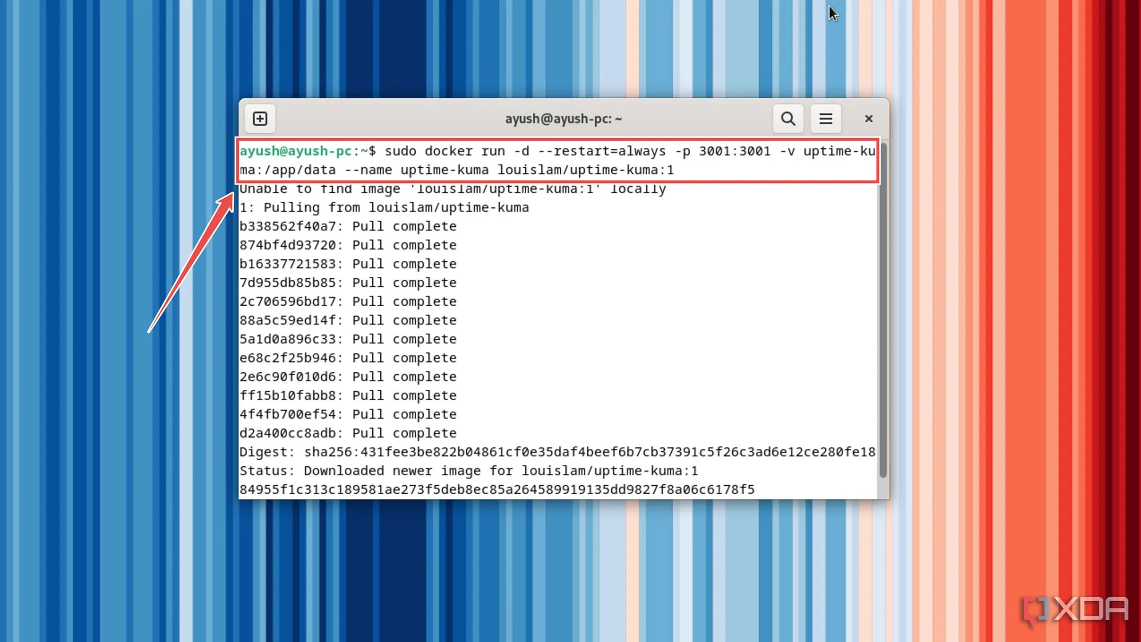 Giao diện Terminal hiển thị lệnh Docker triển khai container Uptime Kuma và quá trình tải image
