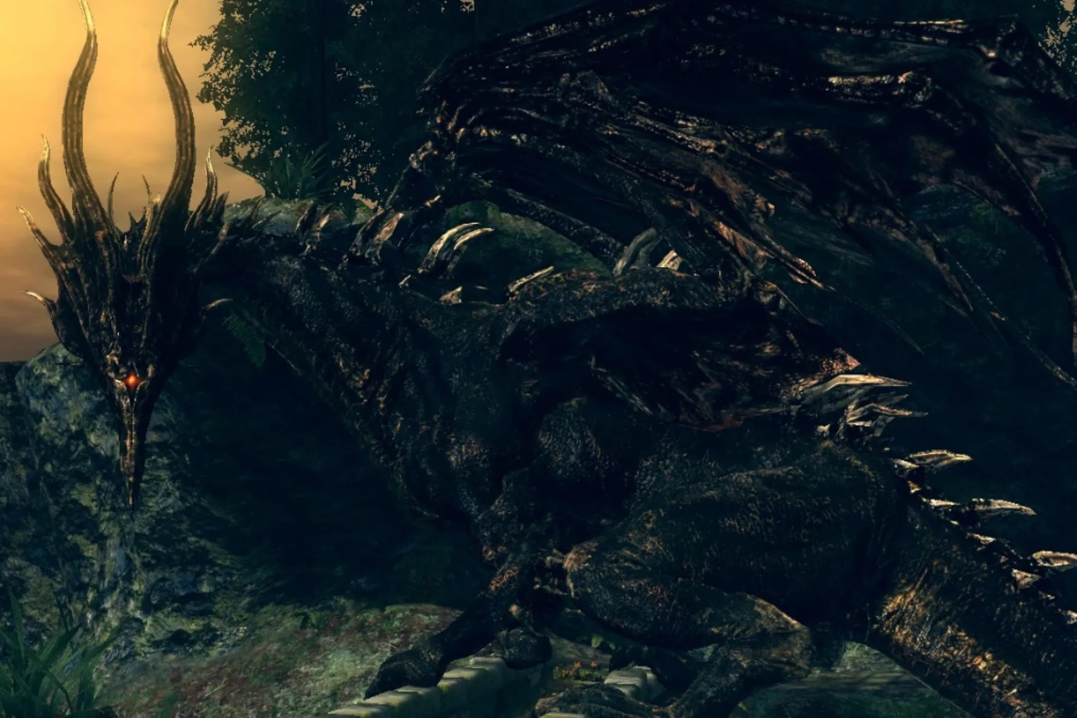 Hắc Long Kalameet, một trong những boss rồng khó nhất Dark Souls, đang nhìn chằm chằm