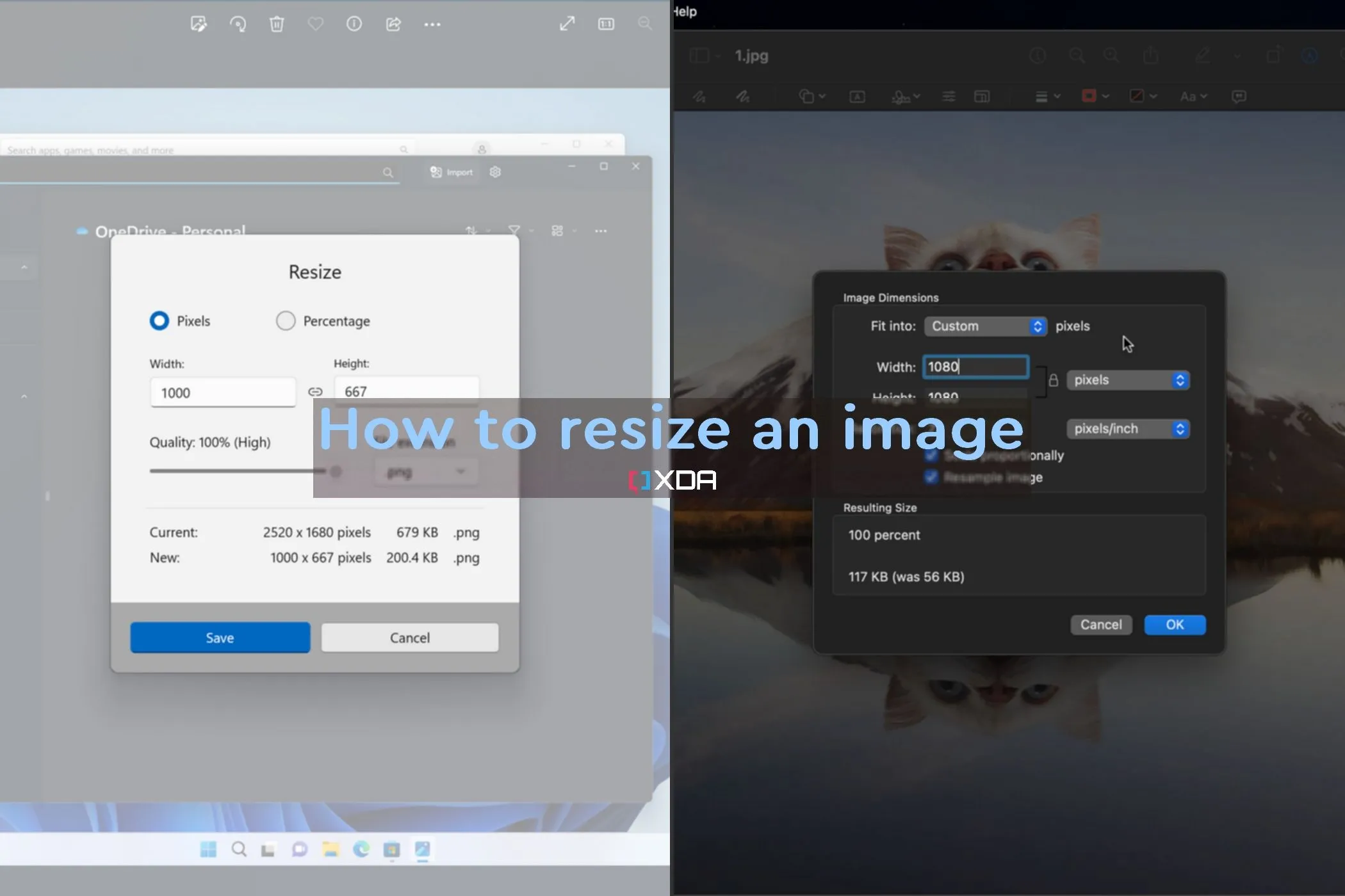 Hình ảnh giao diện công cụ thay đổi kích thước ảnh Image Resizer của PowerToys trên Windows 11