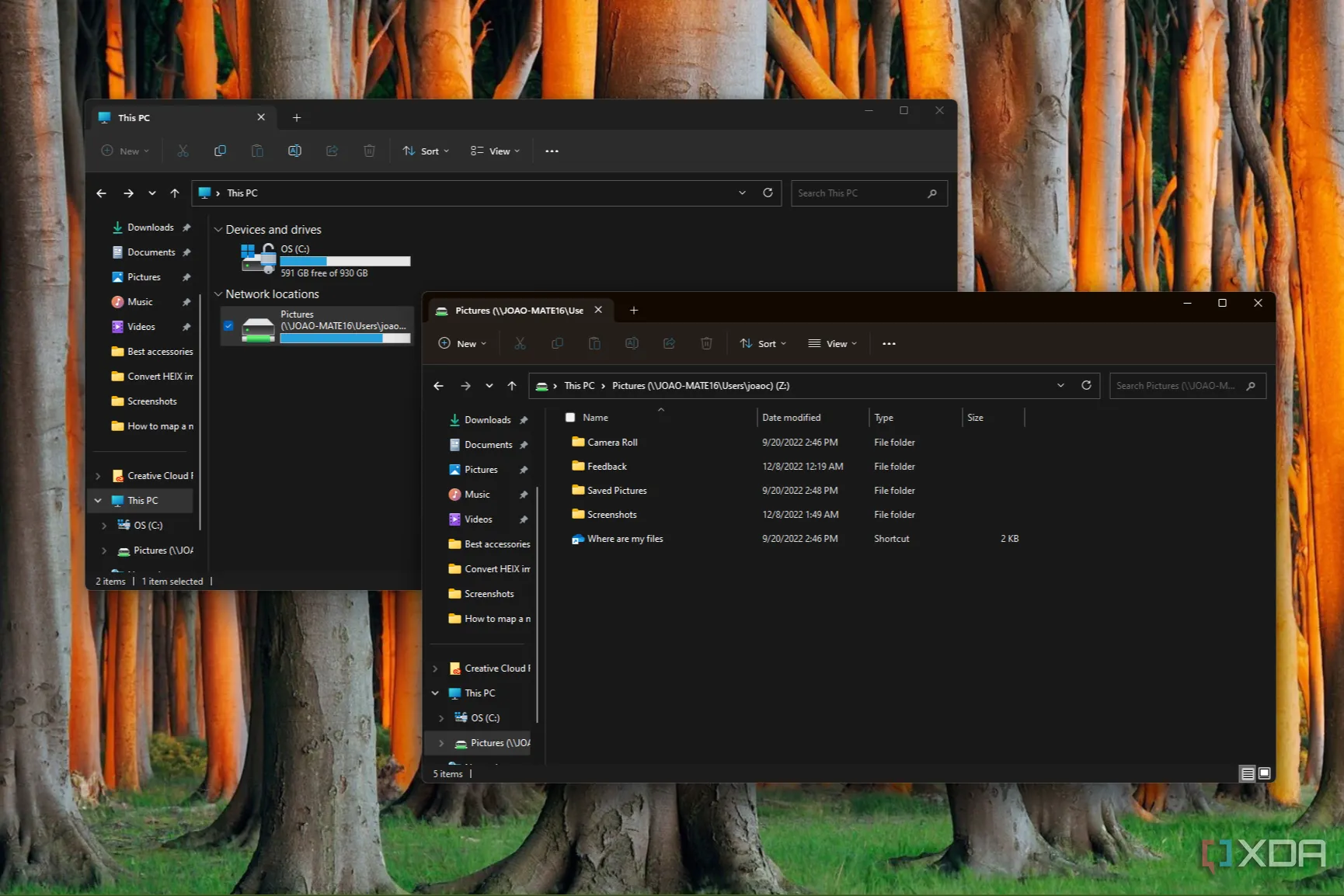 Hướng dẫn ánh xạ ổ đĩa mạng trên Windows 11 trong File Explorer
