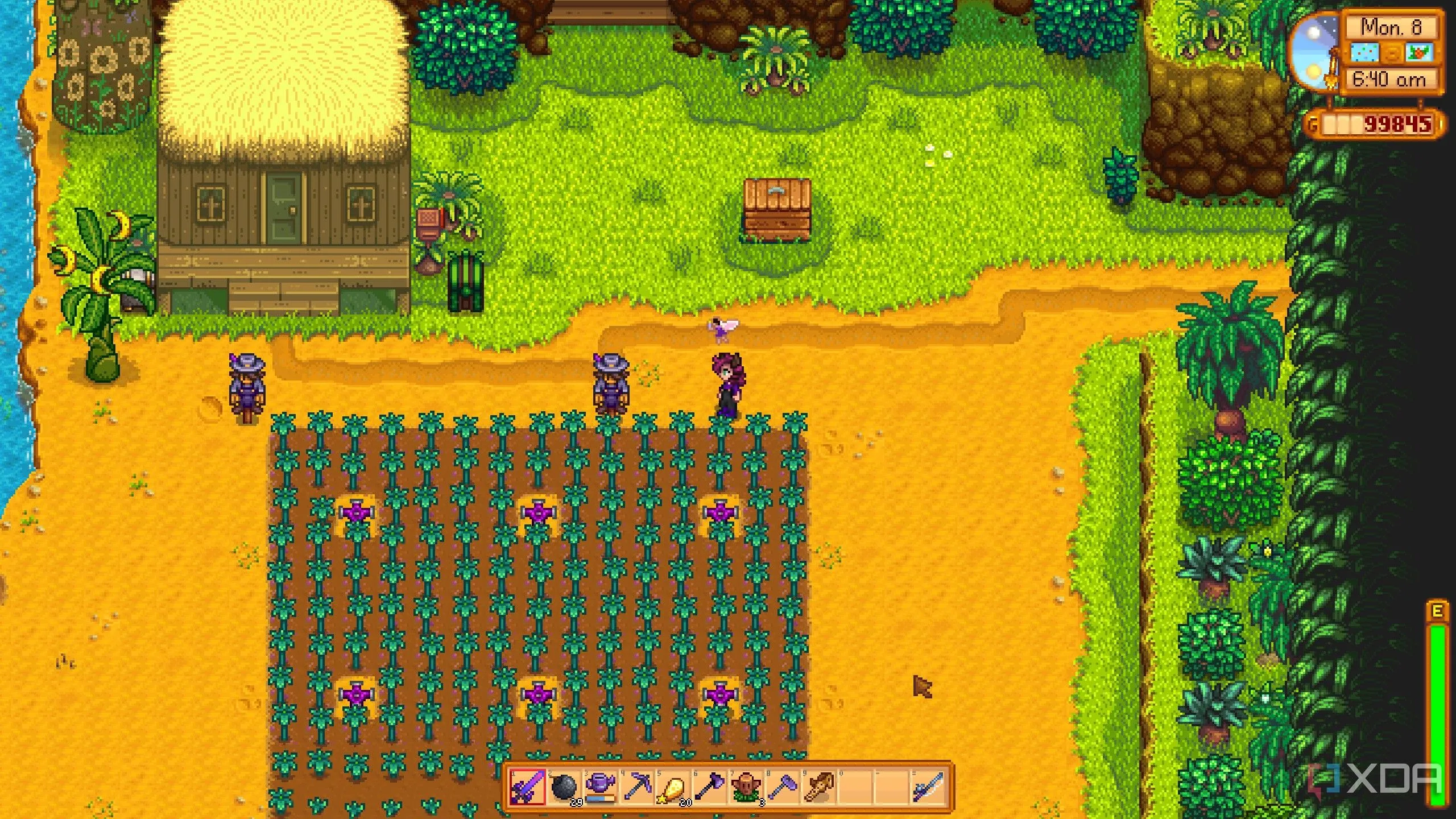 Khung cảnh nông trại trên Đảo Gừng (Ginger Island) trong game Stardew Valley, thể hiện nội dung mở rộng sau khi ra mắt.