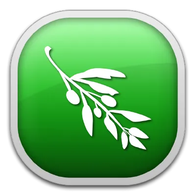 Logo Olive Video Editor với biểu tượng hình lá cây và chữ &quot;Olive&quot;