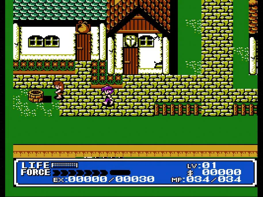 Màn hình gameplay của Crystalis trên NES với nhân vật chính đang chiến đấu trong môi trường 2D