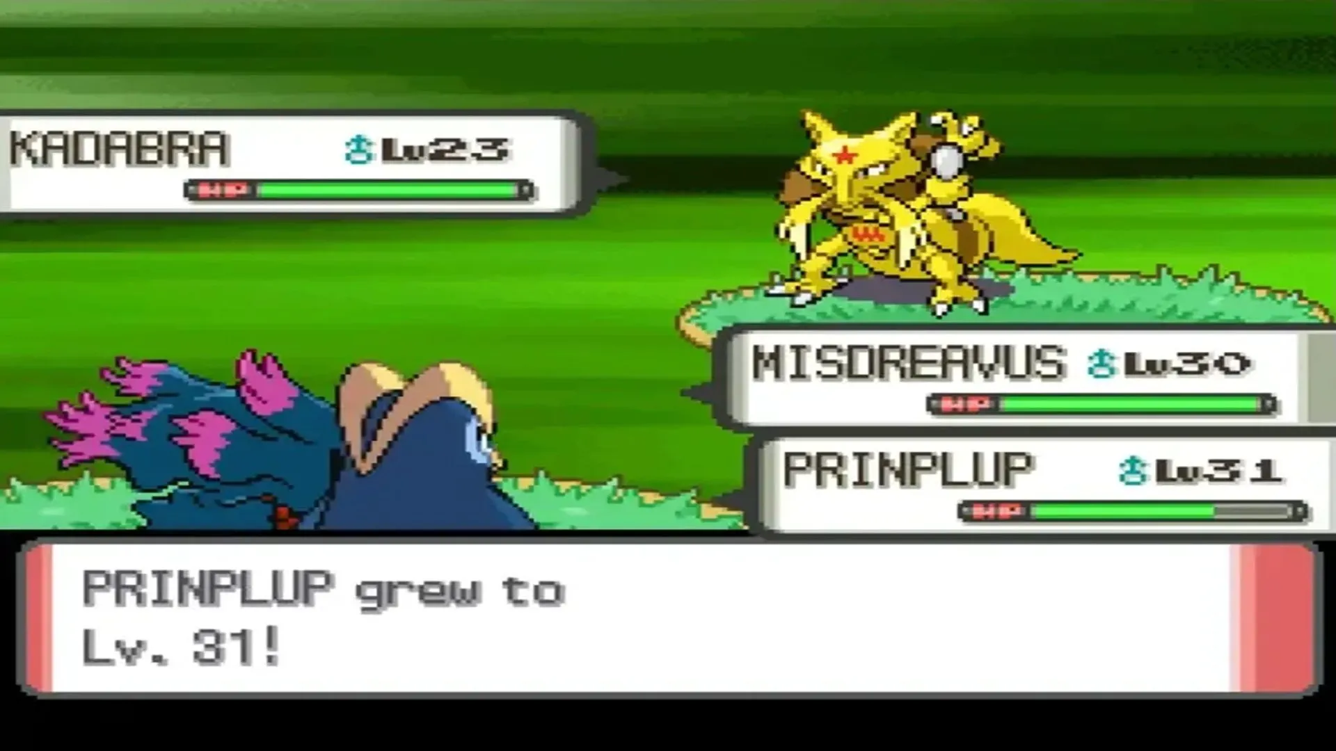 Màn hình hiển thị một trận đấu Pokémon đôi gay cấn trong game Pokémon Pearl, tựa game thế hệ thứ tư của dòng Pokémon trên Nintendo DS.