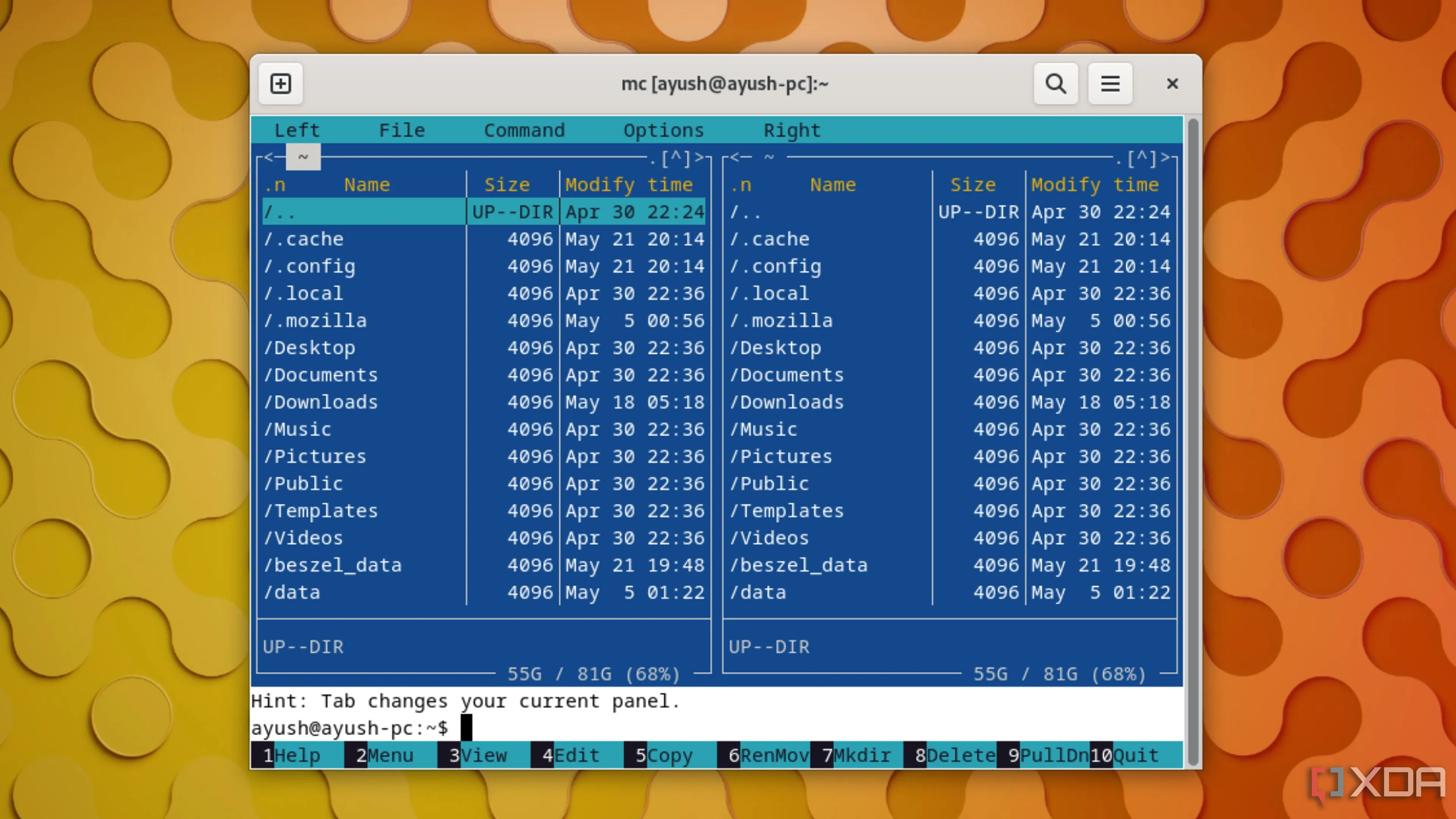 Màn hình Midnight Commander (mc) đang hoạt động trong môi trường Linux với giao diện hai khung