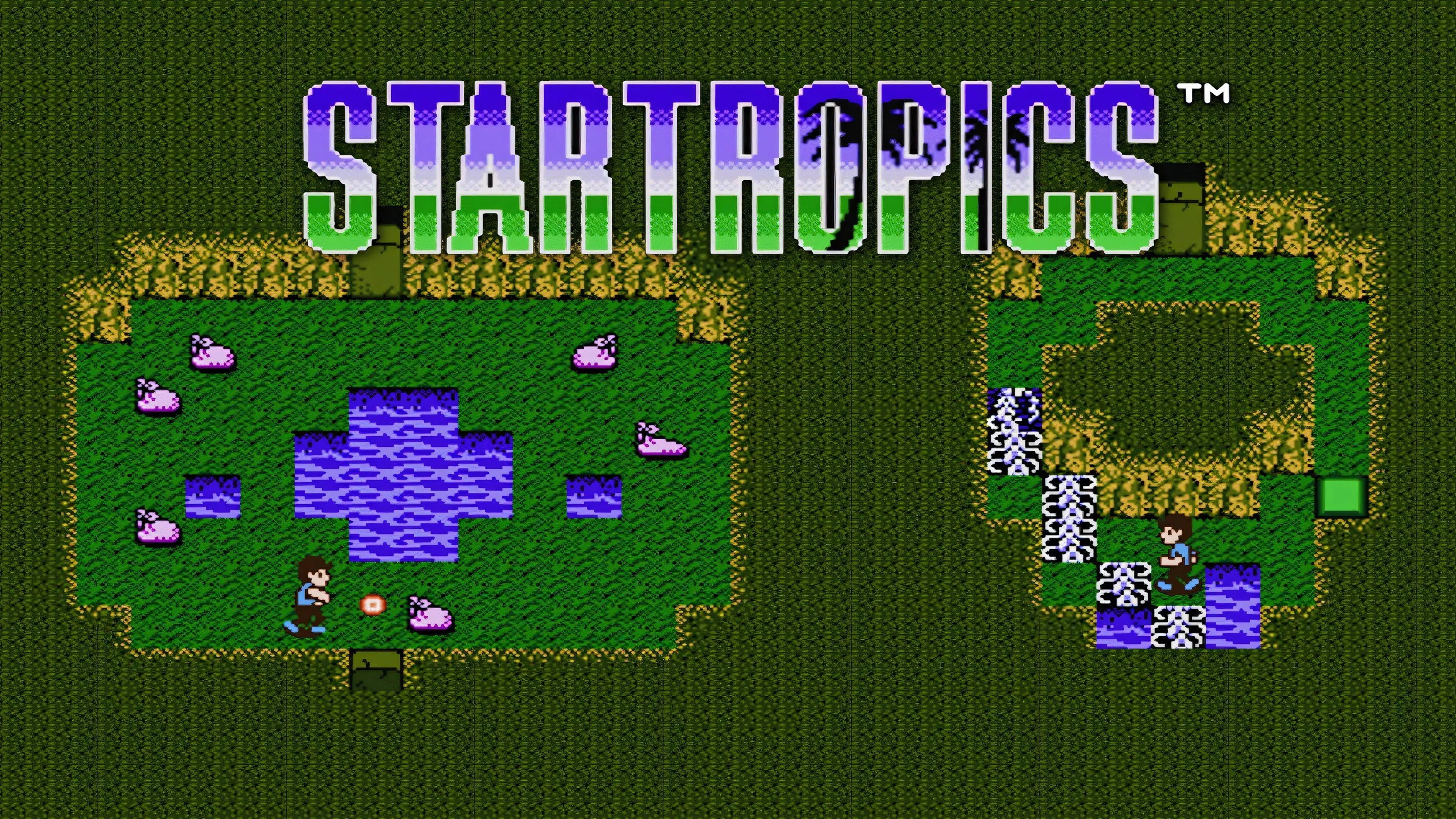 Màn hình tiêu đề StarTropics