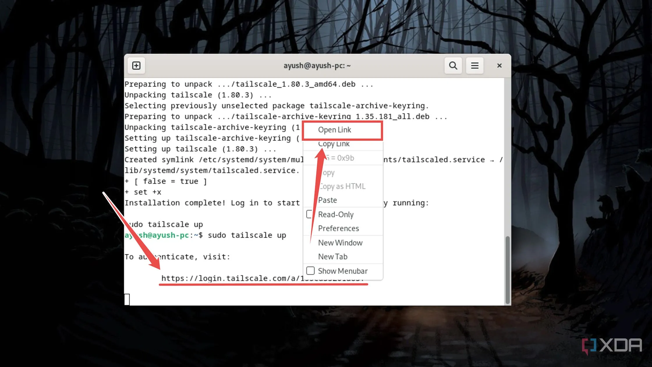 Mở trang đăng nhập Tailscale từ terminal Linux