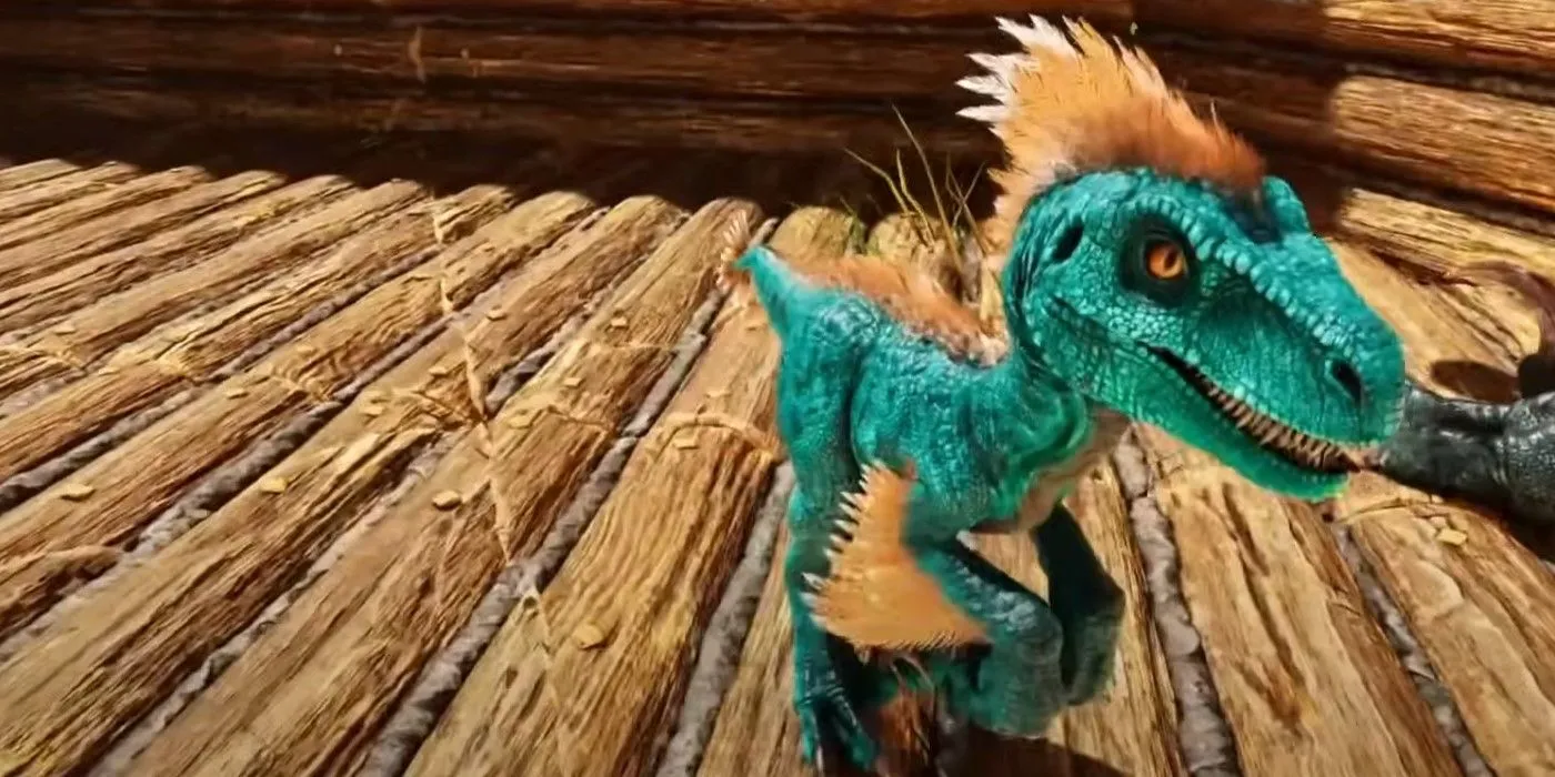 Một chú khủng long Raptor con màu xanh với điểm nhấn cam trong Ark: Survival Ascended, minh họa tính năng thuần hóa và nuôi dưỡng sinh vật.