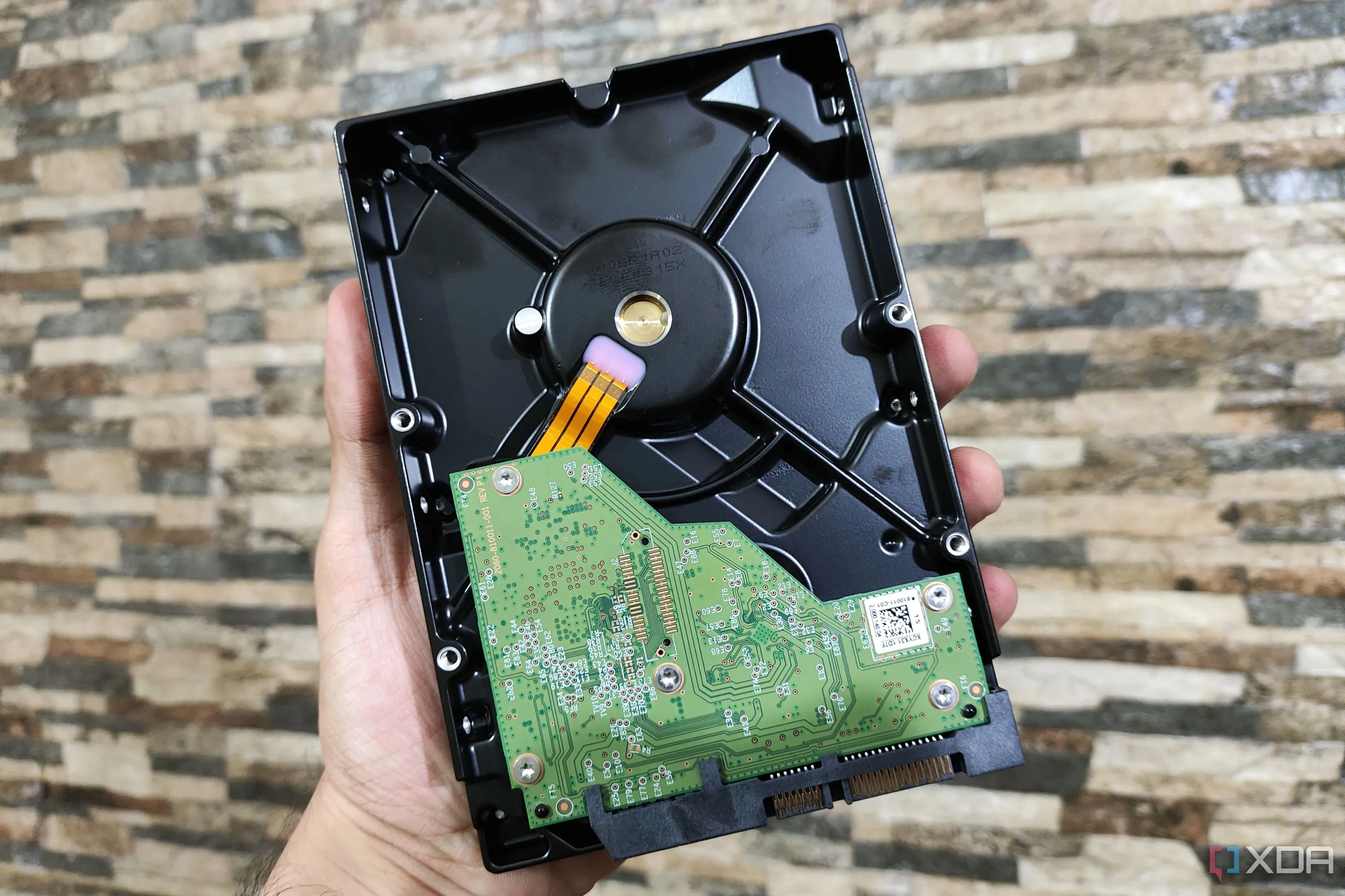 Người cầm ổ HDD WD Blue