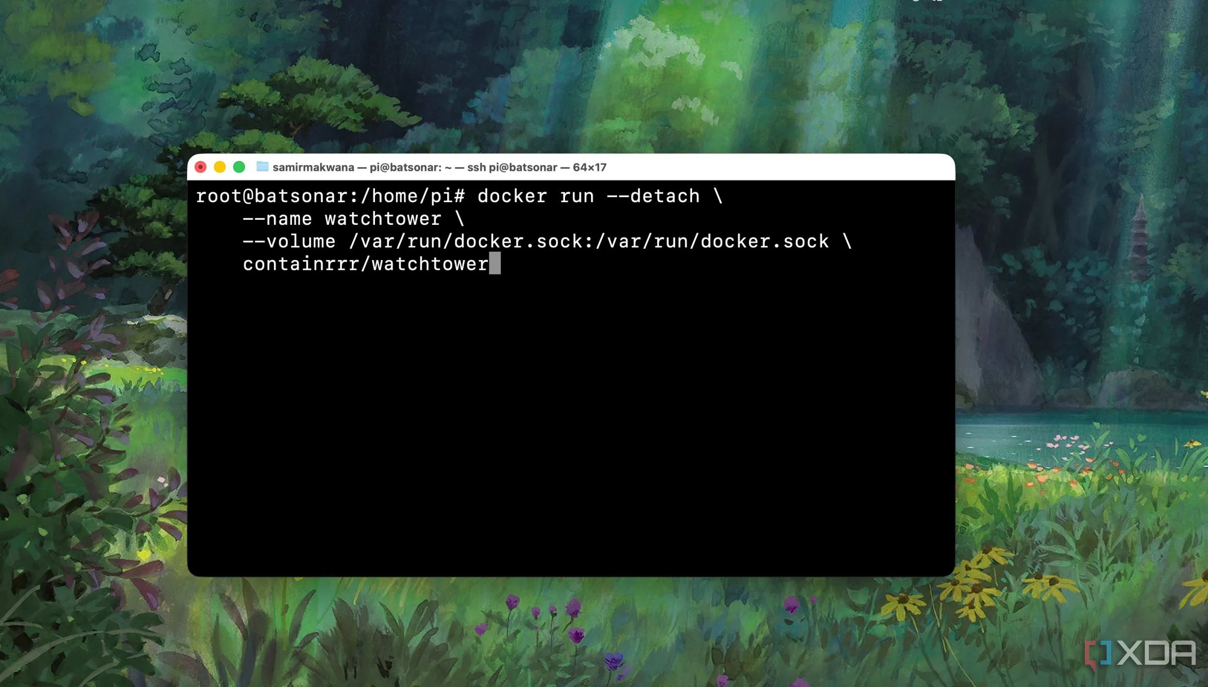 Ví dụ lệnh docker run được thực thi từ Terminal, một cách để triển khai container