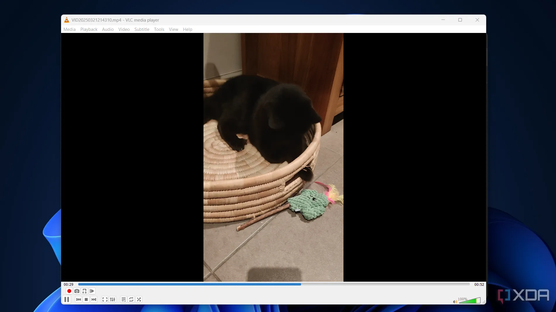 Xem video mèo trong VLC